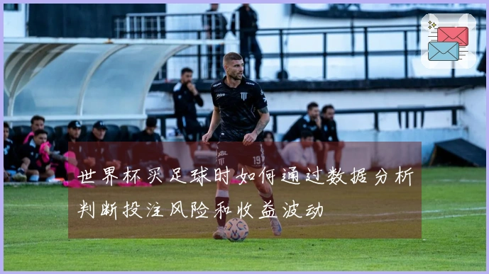 世界杯买足球时如何通过数据分析判断投注风险和收益波动