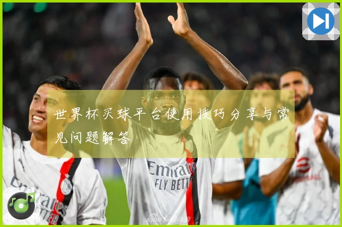世界杯买球平台使用技巧分享与常见问题解答