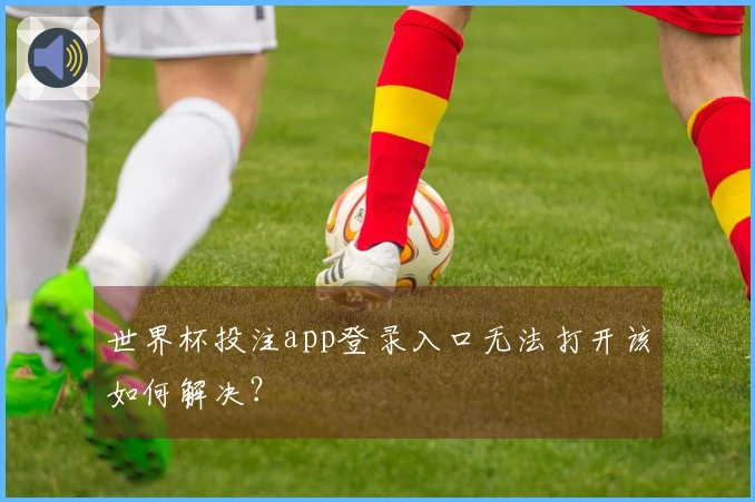 世界杯投注app登录入口无法打开该如何解决？