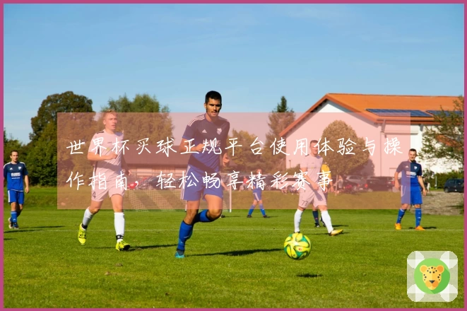 世界杯买球正规平台使用体验与操作指南，轻松畅享精彩赛事