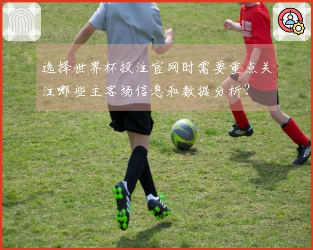 选择世界杯投注官网时需要重点关注哪些主客场信息和数据分析？