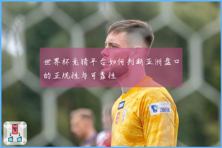 世界杯竞猜平台如何判断亚洲盘口的正规性与可靠性