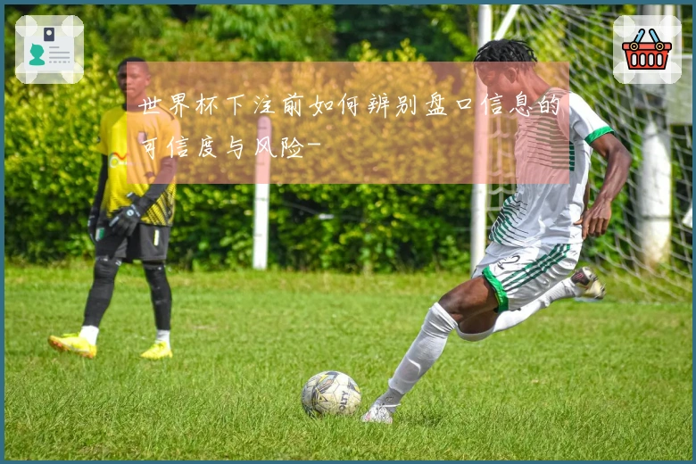 世界杯下注前如何辨别盘口信息的可信度与风险-