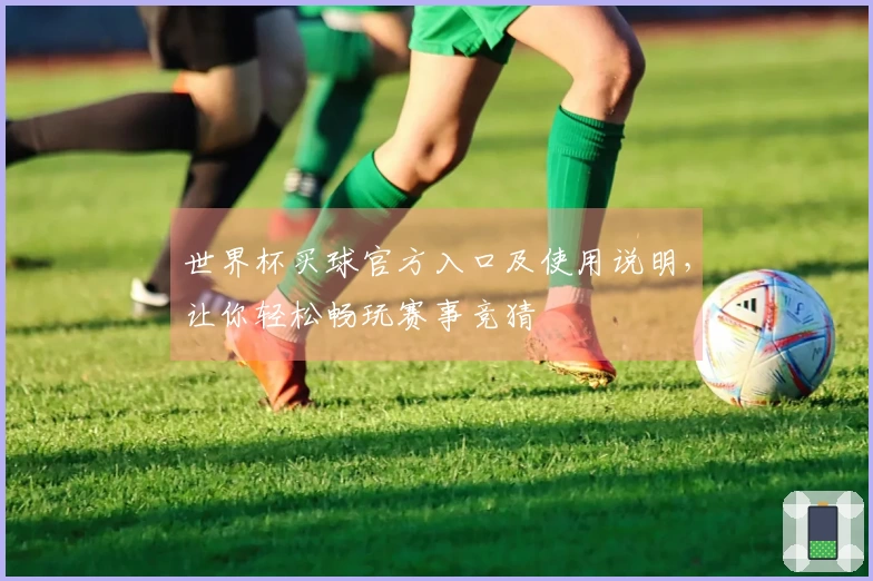 世界杯买球官方入口及使用说明，让你轻松畅玩赛事竞猜
