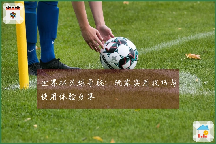 世界杯买球导航：玩家实用技巧与使用体验分享
