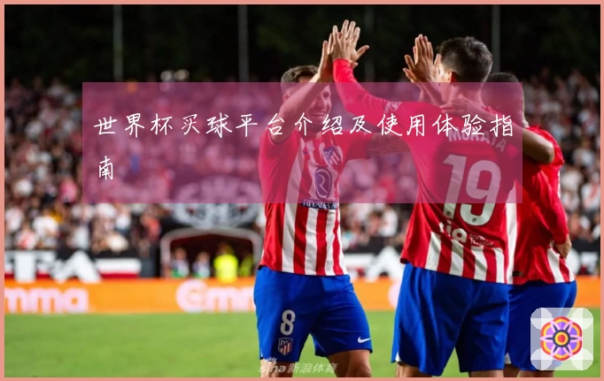 世界杯买球平台介绍及使用体验指南