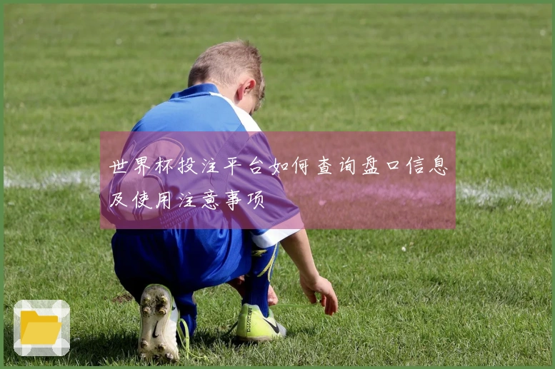世界杯投注平台如何查询盘口信息及使用注意事项