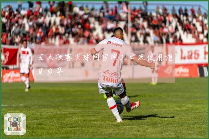 五大联赛买球网官网入口及使用指南分享