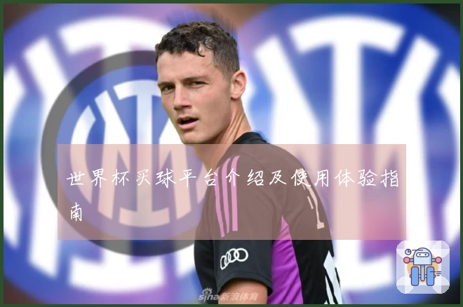 世界杯买球平台介绍及使用体验指南