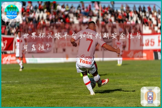 世界杯买球平台如何判断安全性与可靠性？