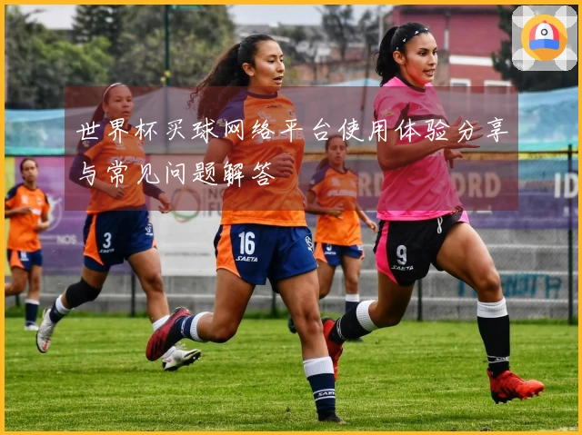 世界杯买球网络平台使用体验分享与常见问题解答