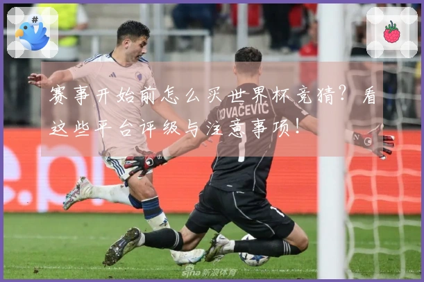 赛事开始前怎么买世界杯竞猜?看这些平台评级与注意事项!