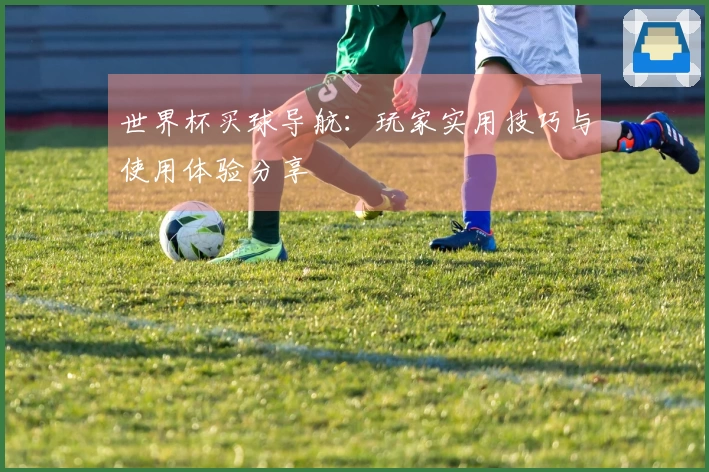 世界杯买球导航：玩家实用技巧与使用体验分享