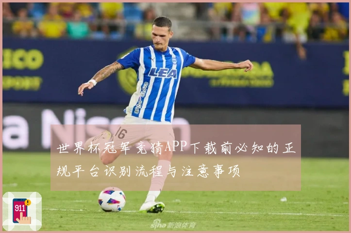 世界杯冠军竞猜APP下载前必知的正规平台识别流程与注意事项