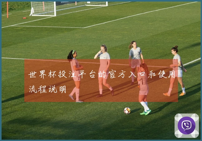 世界杯投注平台的官方入口和使用流程说明