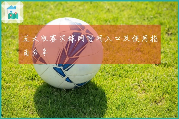 五大联赛买球网官网入口及使用指南分享