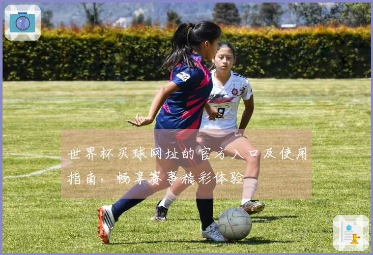 世界杯买球网址的官方入口及使用指南，畅享赛事精彩体验
