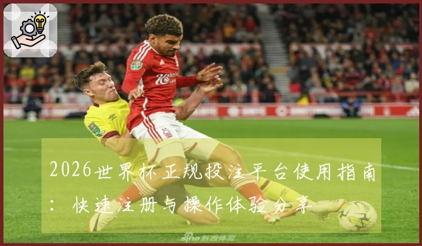 2026世界杯正规投注平台使用指南：快速注册与操作体验分享