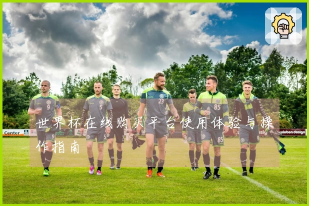 世界杯在线购买平台使用体验与操作指南