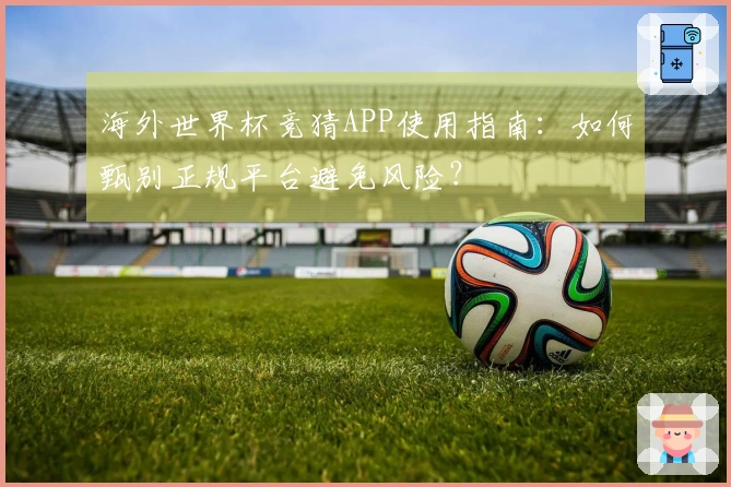 海外世界杯竞猜APP使用指南：如何甄别正规平台避免风险？