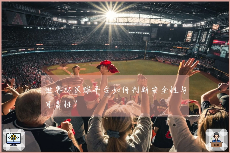 世界杯买球平台如何判断安全性与可靠性？