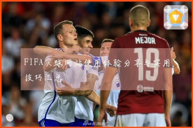 FIFA买球网站使用体验分享与实用技巧汇总