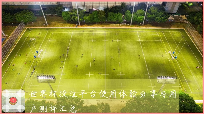 世界杯投注平台使用体验分享与用户测评汇总