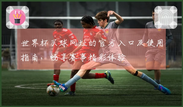 世界杯买球网址的官方入口及使用指南，畅享赛事精彩体验