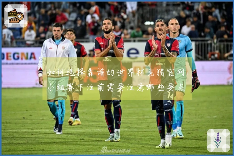如何选择靠谱的世界杯竞猜官网，小组赛下注前需要注意哪些要点