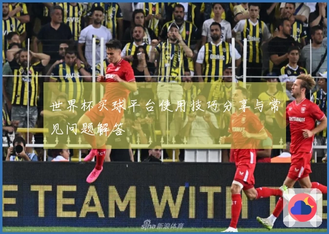 世界杯买球平台使用技巧分享与常见问题解答